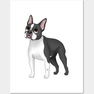 Boston Terrier Dog Posters and Art